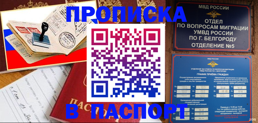 купить прописку в Кеми